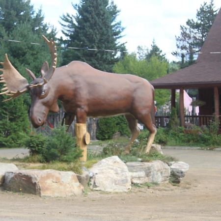 L'Auberge Refuge Du Trappeur Saint-Mathieu-Du-Parc Exteriör bild
