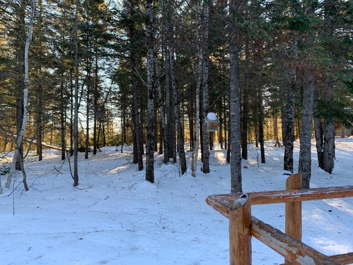 L'Auberge Refuge Du Trappeur Saint-Mathieu-Du-Parc Exteriör bild