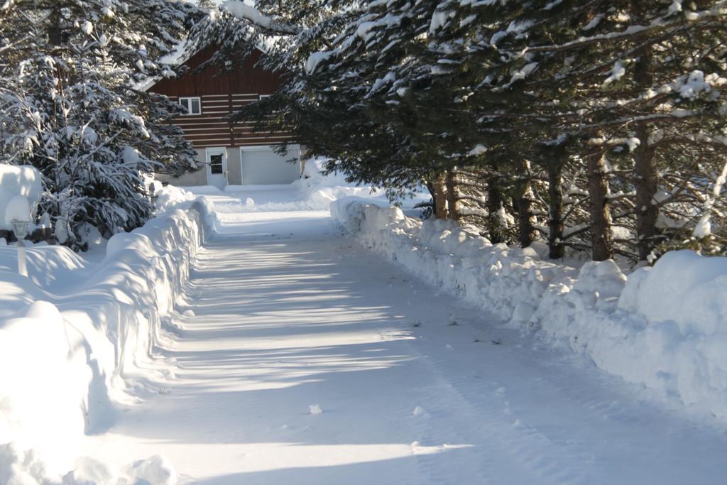 L'Auberge Refuge Du Trappeur Saint-Mathieu-Du-Parc Exteriör bild